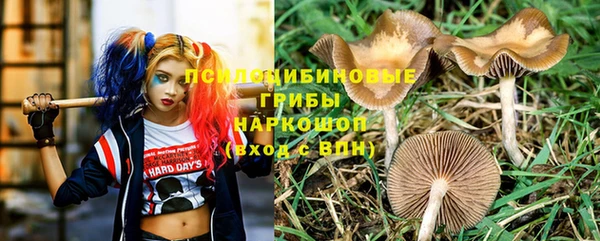 ешки Белоозёрский