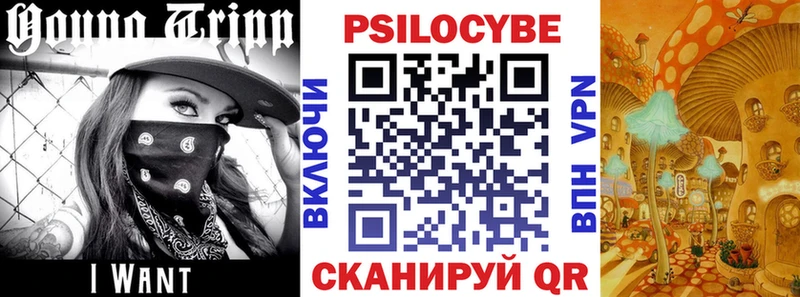 купить наркотик  Олёкминск  Псилоцибиновые грибы GOLDEN TEACHER 